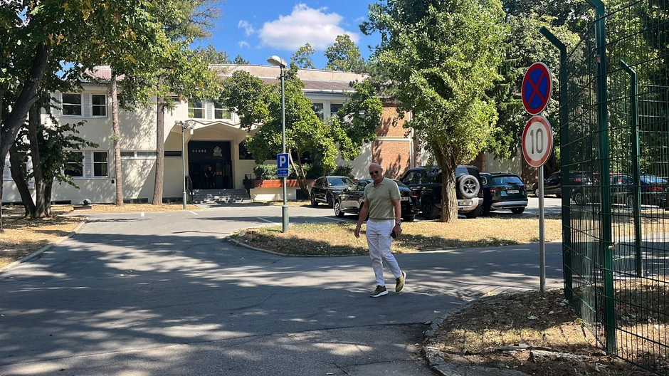 Aleksandar Milić Mili