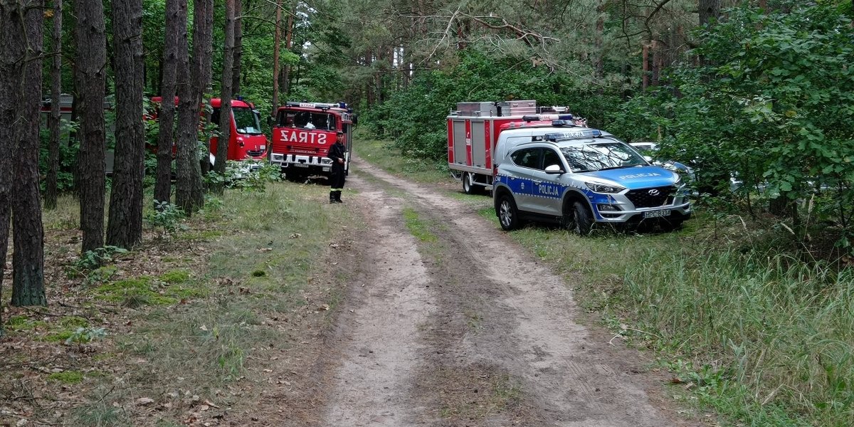 Poszukiwania osoby zaginionej w lesie — zdjęcie ilustracyjne