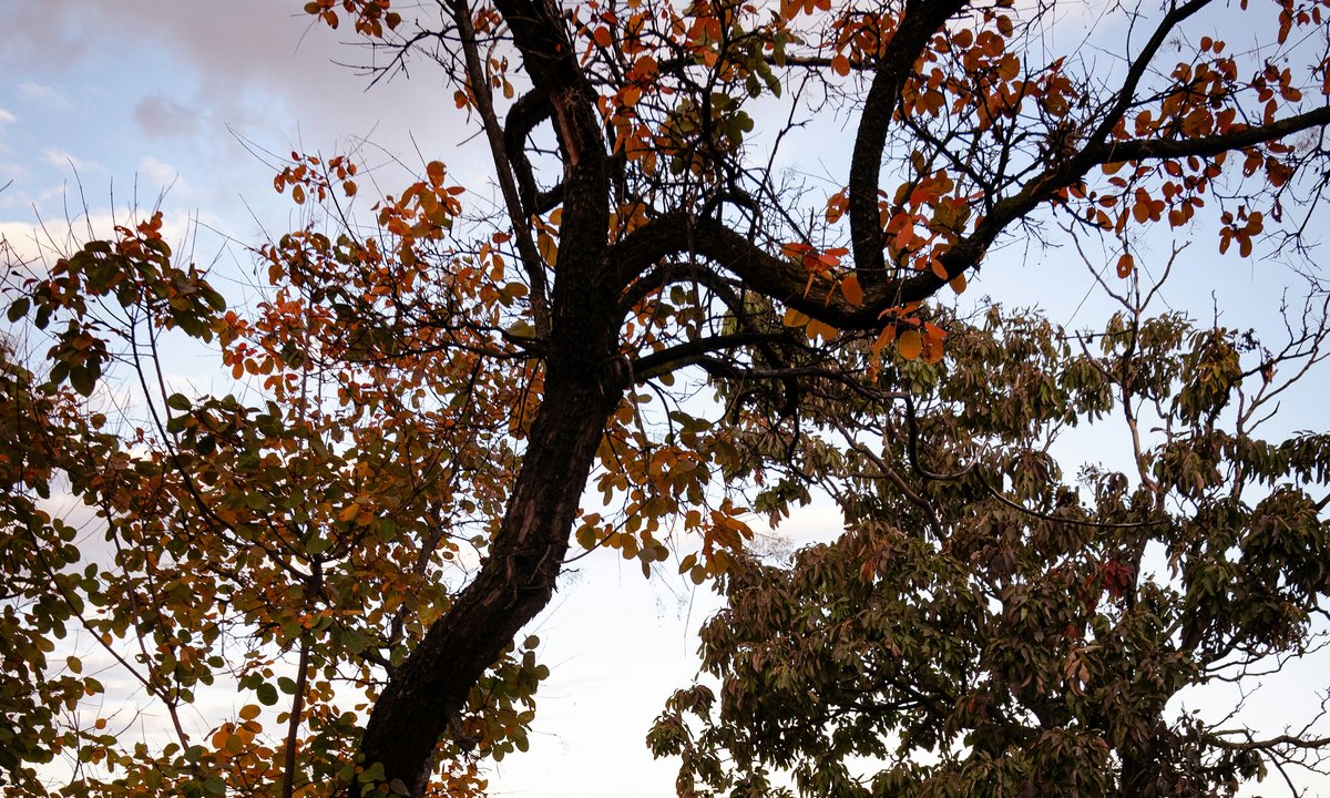 "The Guardian" wskazał najlepsze miasta na jesienny city break. Najesz się i pozwiedzasz