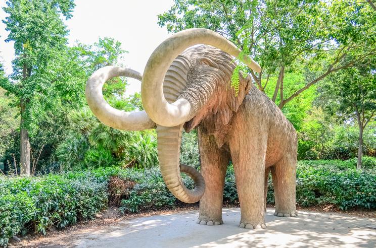 Feldarabolt mamut maradványaira bukkantak magyar régészek /Fotó: Northfoto