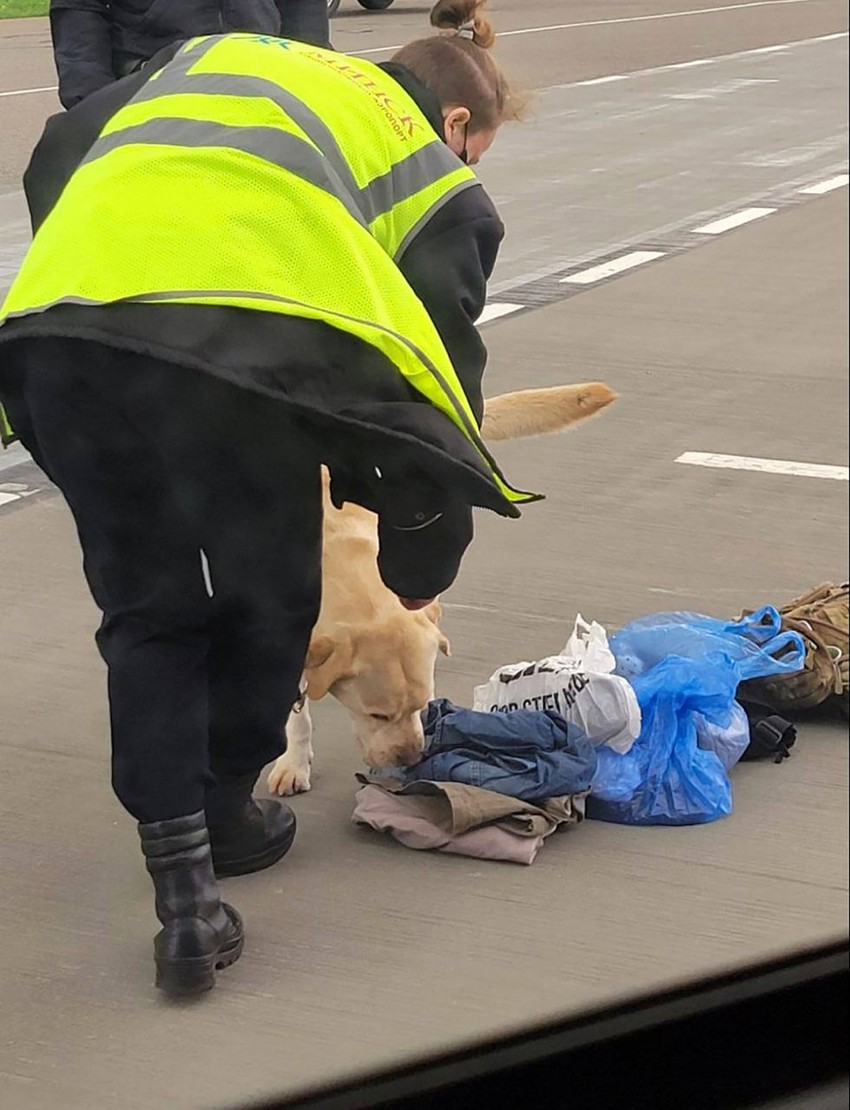 Roman Protaševič, prinudno sletanje u Minsku