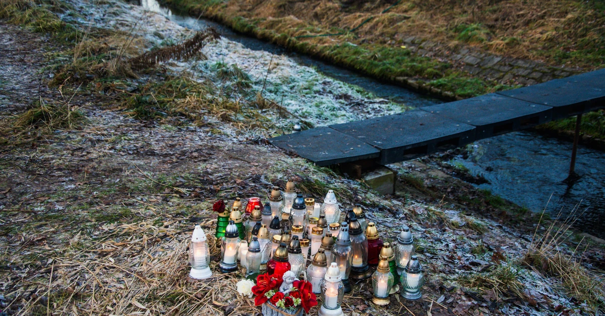 Zabójstwo 11-latki w Jeleniej Górze. Służby dementują plotki