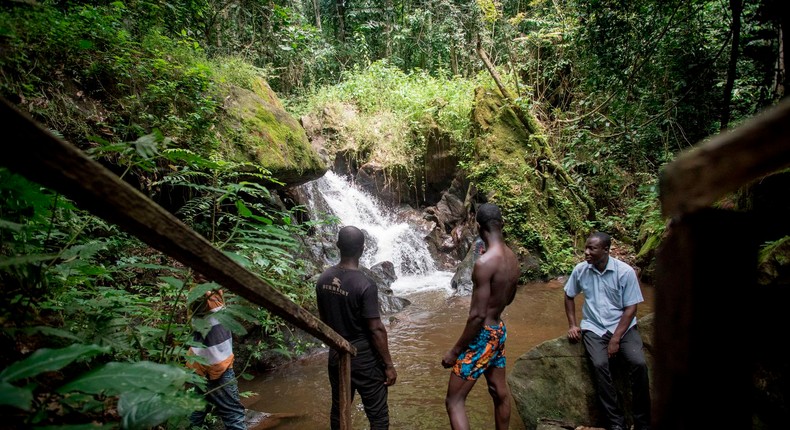 Atewa forest