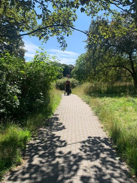 Warszawski park, w których cienia szukają osoby bezdomne