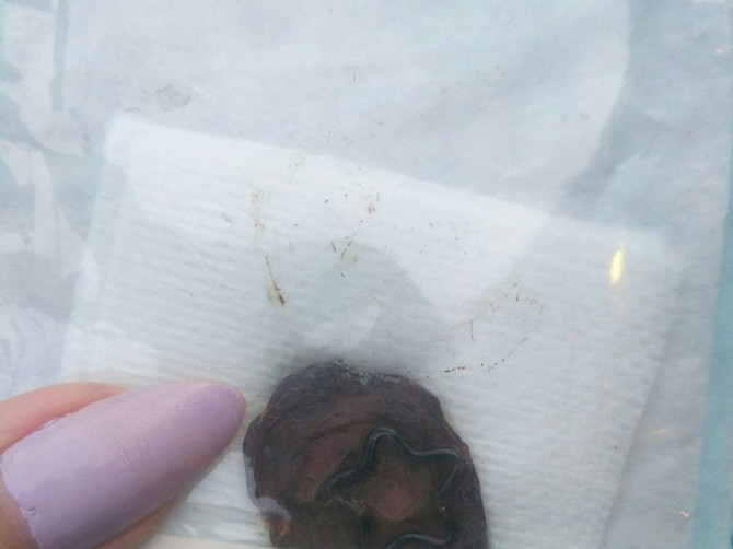 Rešila je da, kako kaže, sa sebe izbriše svaki trag ljudskog porekla