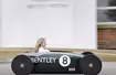Bentley Continental DC: specjalna nagroda dla eksperymentalnego elektromobilu