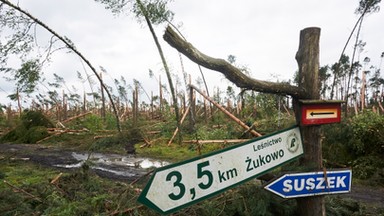 Obóz w Suszku został zatwierdzony w Kuratorium Oświaty