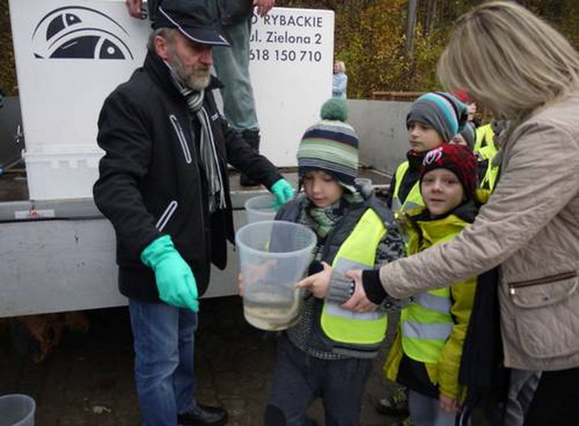 Małe szczupaki pomogą oczyścić jezioro