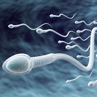 Ebben az életkorban kezdenek „romlani” a férfiak spermái