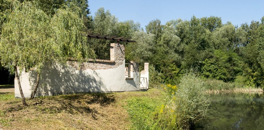 Zróbcie porządek w Parku Mickiewicza