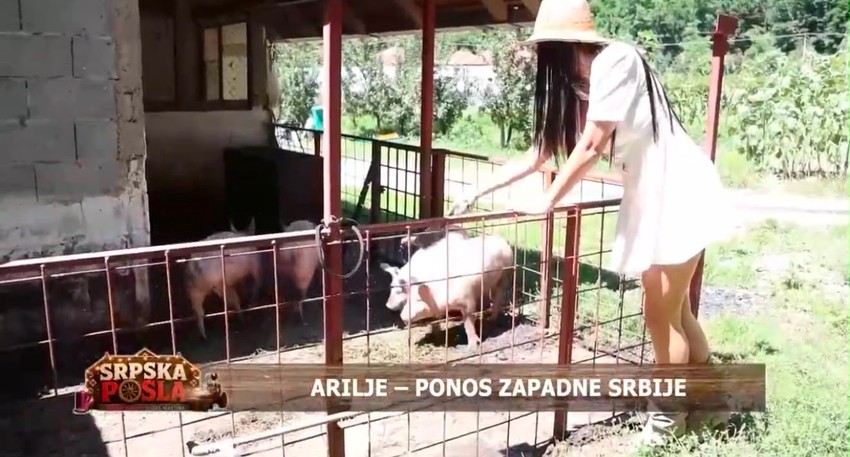 Srpska posla