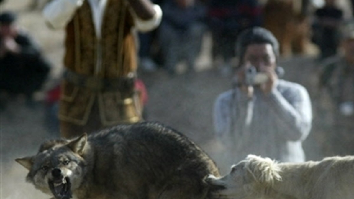 KYRGYZSTAN - HUNTING