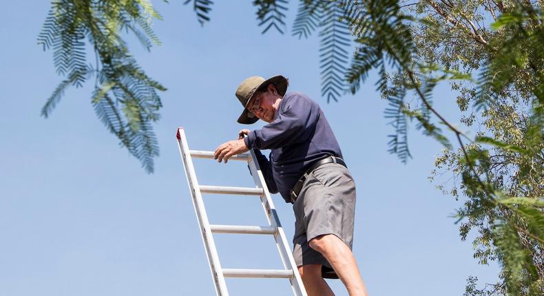 climbing a ladder