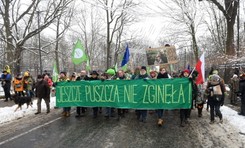 'Szyszko spadaj', 'Chcemy enta na prezydenta'. Marsz w obronie Puszczy Białowieskiej