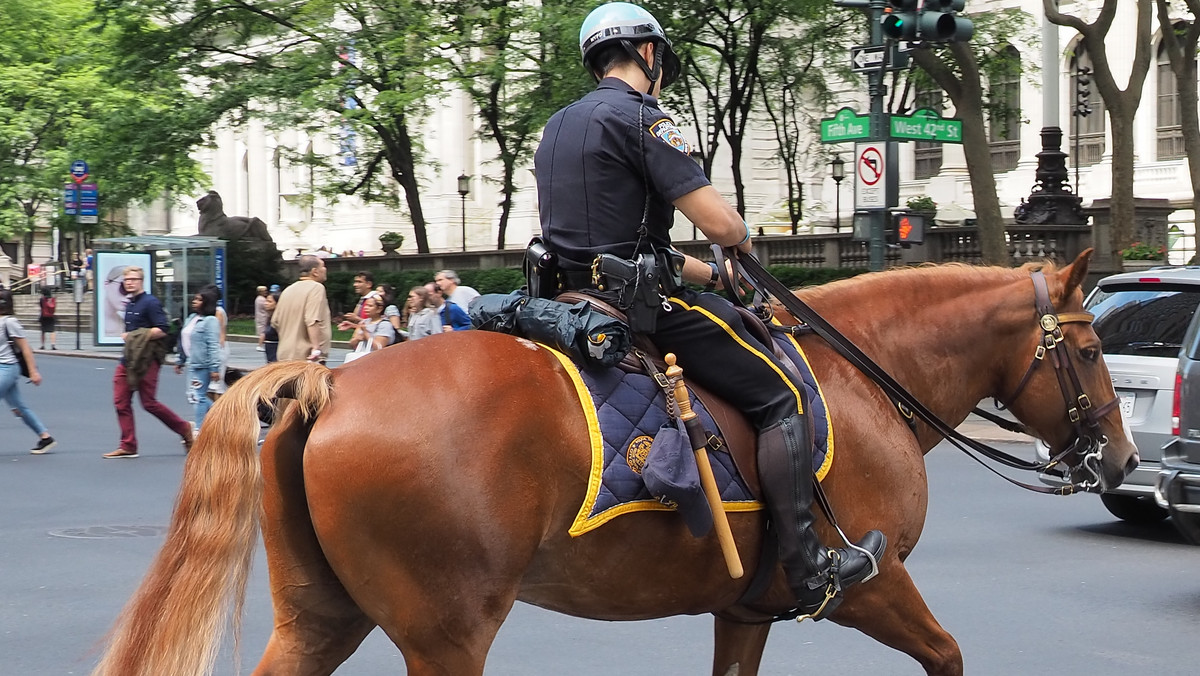 USA: policjanci na koniach prowadzili czarnoskórego mężczyznę jak niewolnika