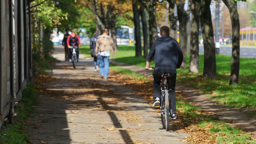 Rowerzyści apelują do dyrektora Zarządu Dróg Miejskich - Chcemy więcej ścieżek rowerowych