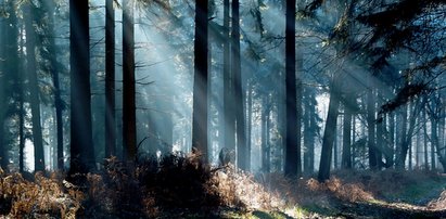 Ciepło, ale wietrznie! Prognoza pogody na 2 tygodnie