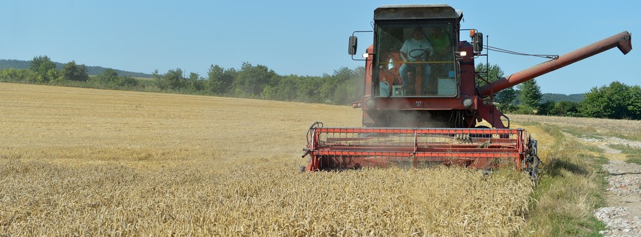 Tegoroczne zbiory zbóż jarych mogą być o ok. 25 proc. niższe niż w 2017 r. - prognozuje Krajowa Federacja Producentów Zbóż