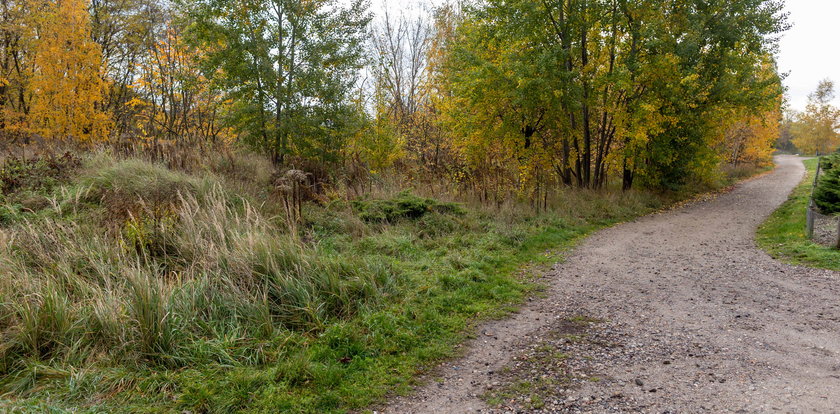 Miał być wybieg dla psów, a są dzikie knieje!