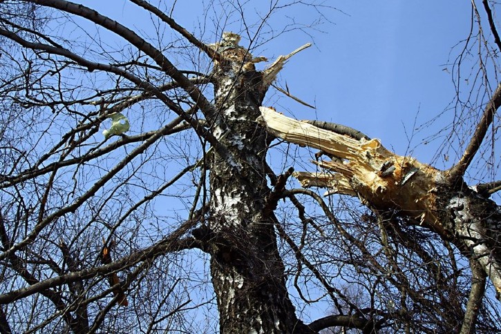 2SuktkpTURBXy8xNjE4Mjc2NTRiMjIxMmU0NGUxZ