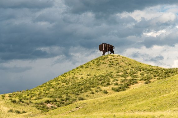 Zakamuflowane maszty radiowe. Tak to robią w Ameryce! 