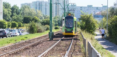 Trasa kórnicka w tragicznym stanie. Trwają konsultacje z mieszkańcami