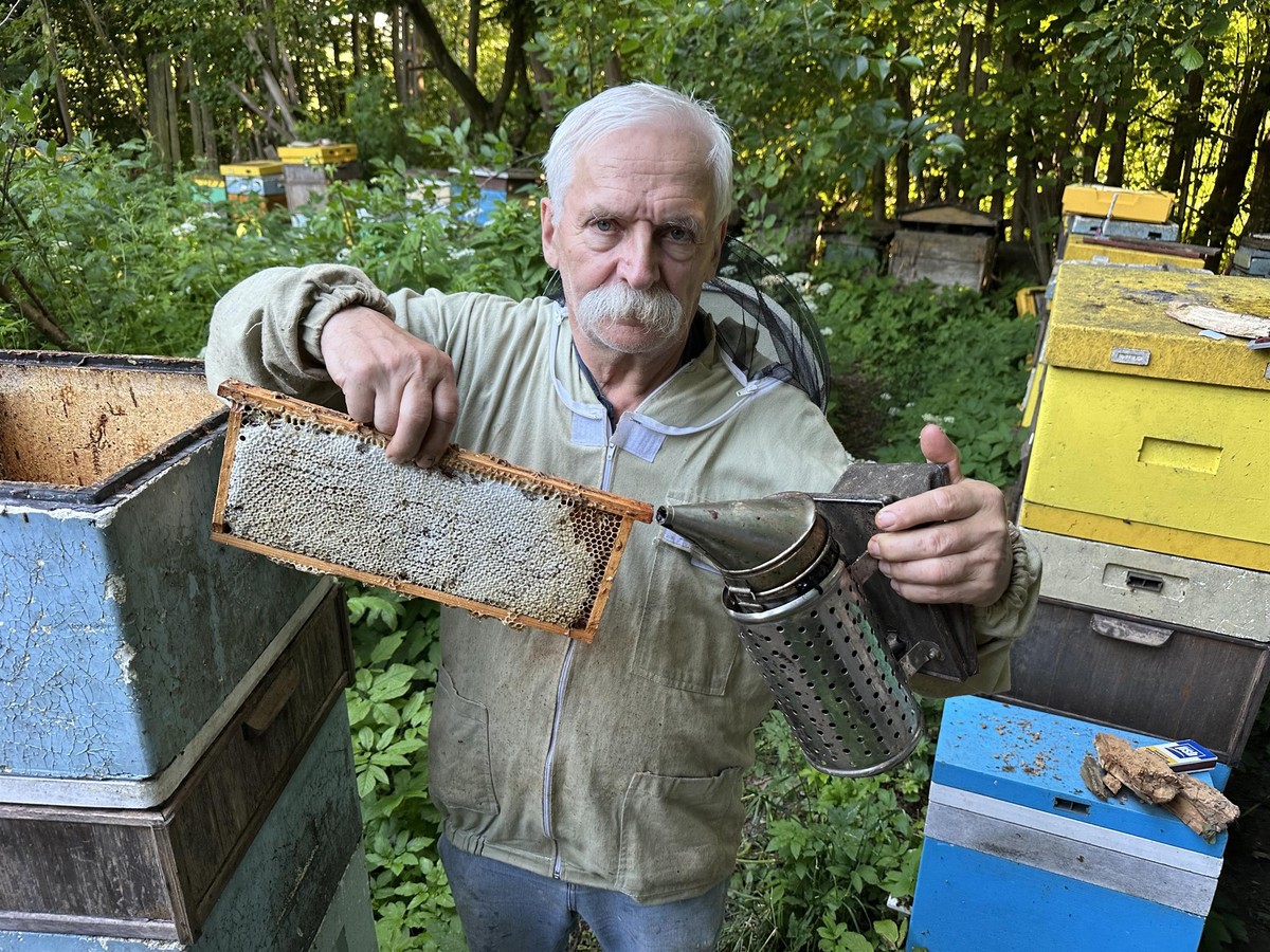 Pszczelarz ostrzega. Chodzi o tegoroczny miód