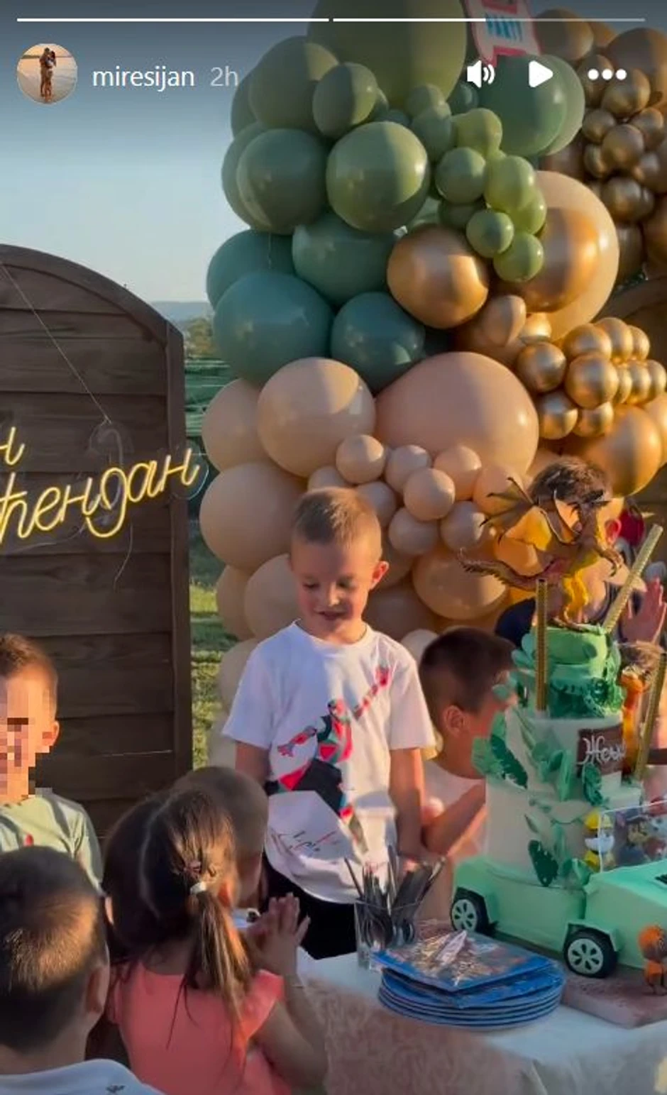 Željko Ražnatović