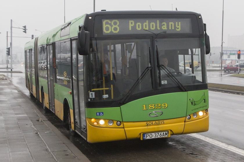 Autobus komunikacji miejskiej w Poznaniu