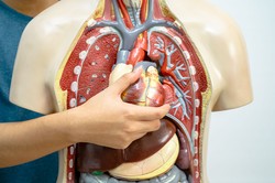 Trudny quiz z biologii. 20/20 tylko dla najlepszych