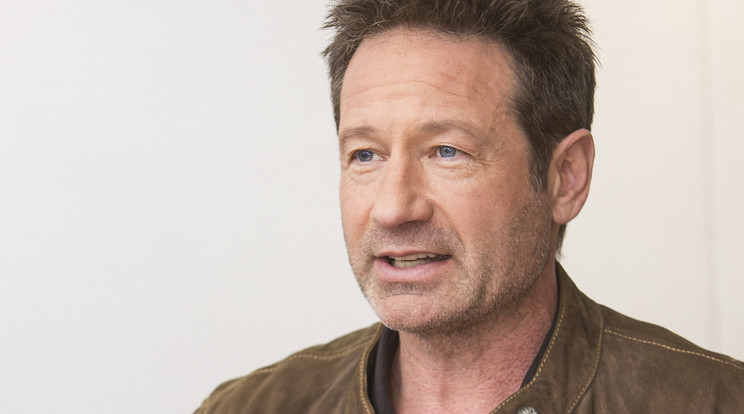 David Duchovny nagyon várja, hogy Budapesten koncertezzen, és izgul a fellépés előtt. A várost is meg akarja nézni, mert sok szép képet látott már róla /Fotó: Northfoto