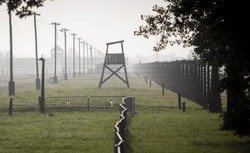 TVP Info: ZDF nie chce przepraszać za "polskie obozy". Jest reakcja niemieckiej telewizji