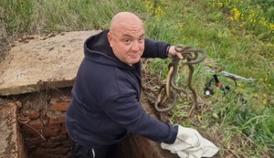Vladica Stanković uhvatio šest zmija