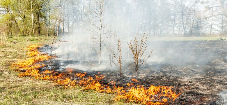Już nie 5 tys. zł, a 30 tys. zł kary. Chwila nieuwagi może słono kosztować
