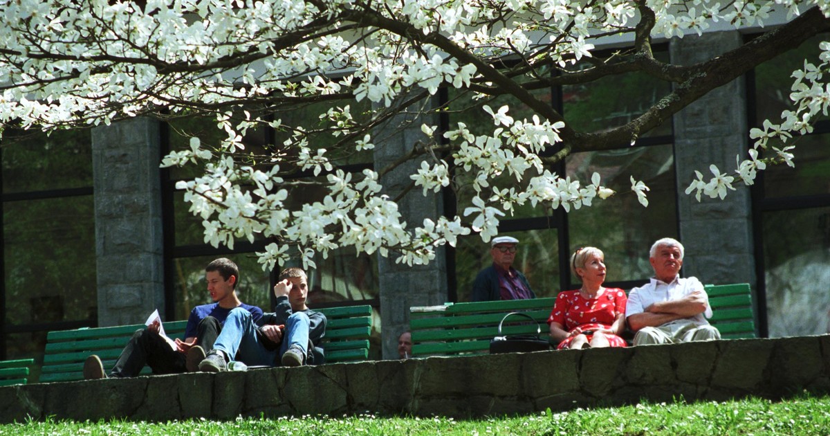 Wiosna przyjdzie szybciej? Nowa prognoza długoterminowa. "Uderzenie" ciepła w tym terminie