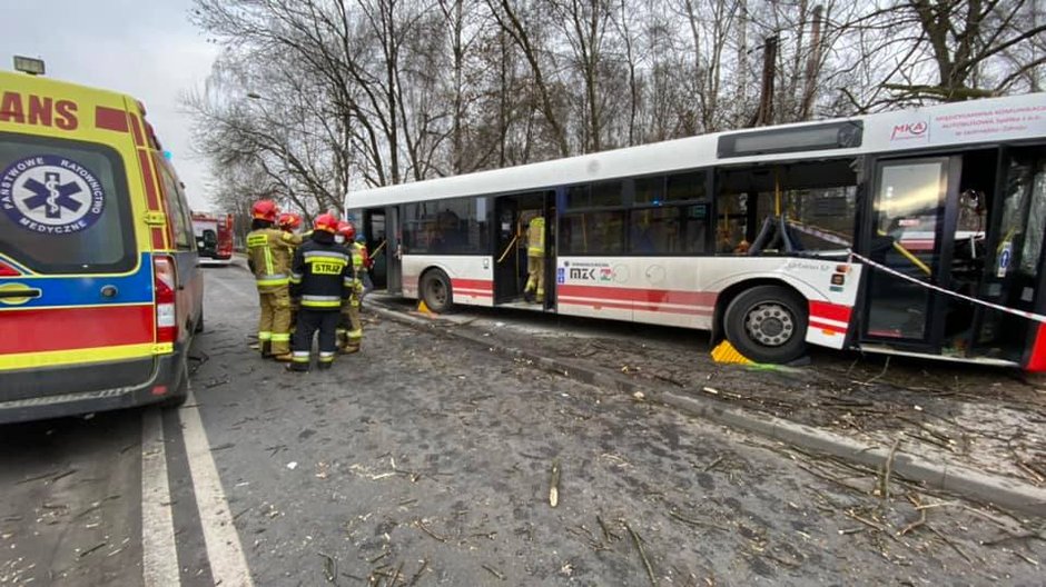 Kierowca stracił przytomność, autobus uderzył w drzewo