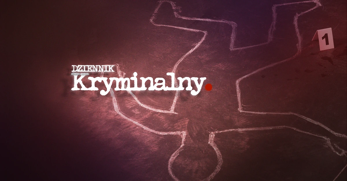 Papierosy, papugi a choćby mrówki. Co i jak przemyca się w Polsce?