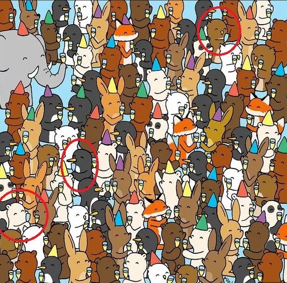 Rozwiązanie zagadki