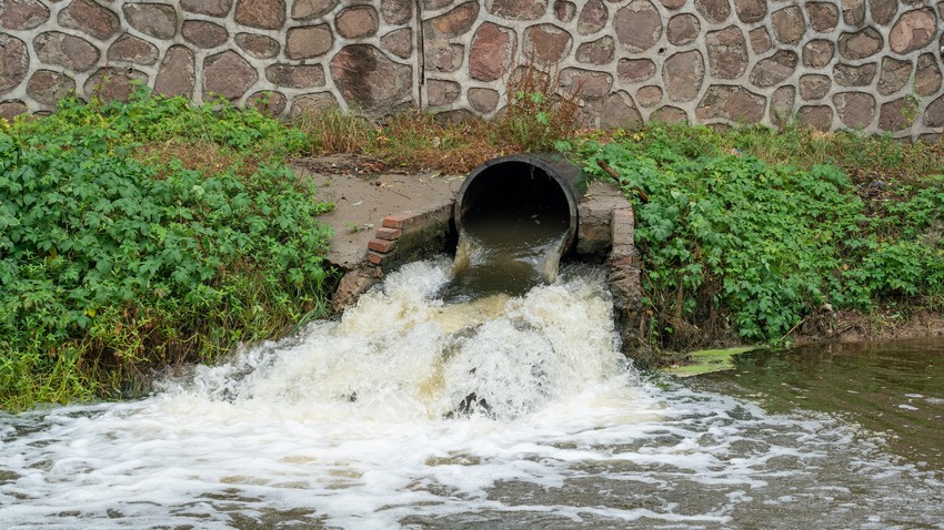 fertőző betegség, szennyvíz kimutatás