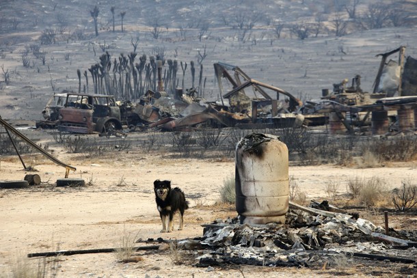 Blue Cut Fire in California