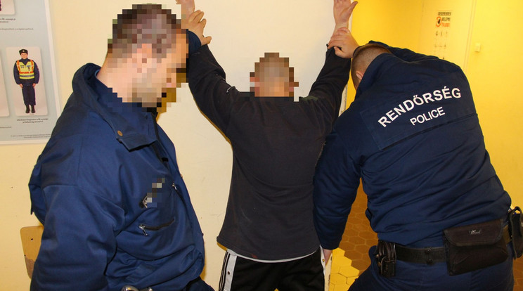 A rendőrök elfogták a szatírt / Foto: police.hu