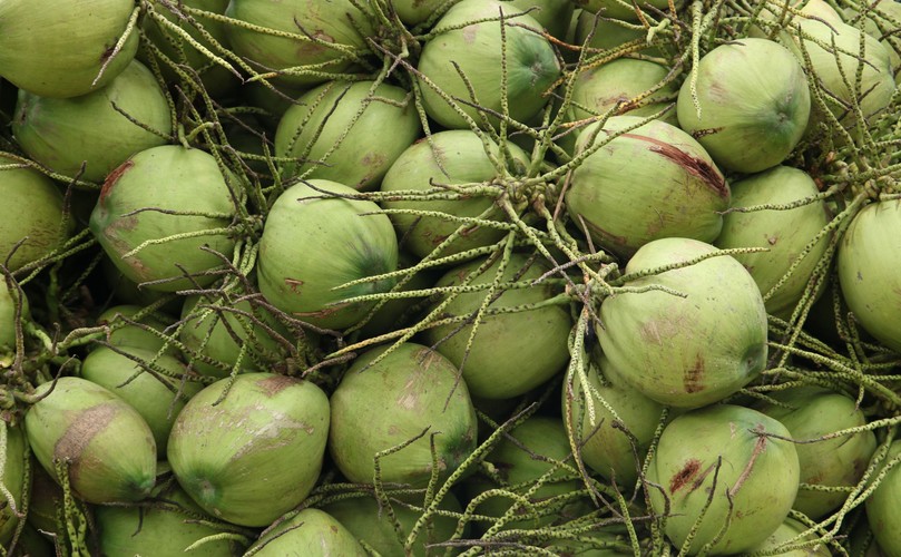 Warto jeść młode kokosy