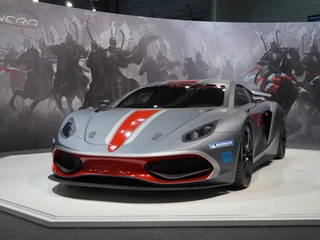 Arrinera Hussarya