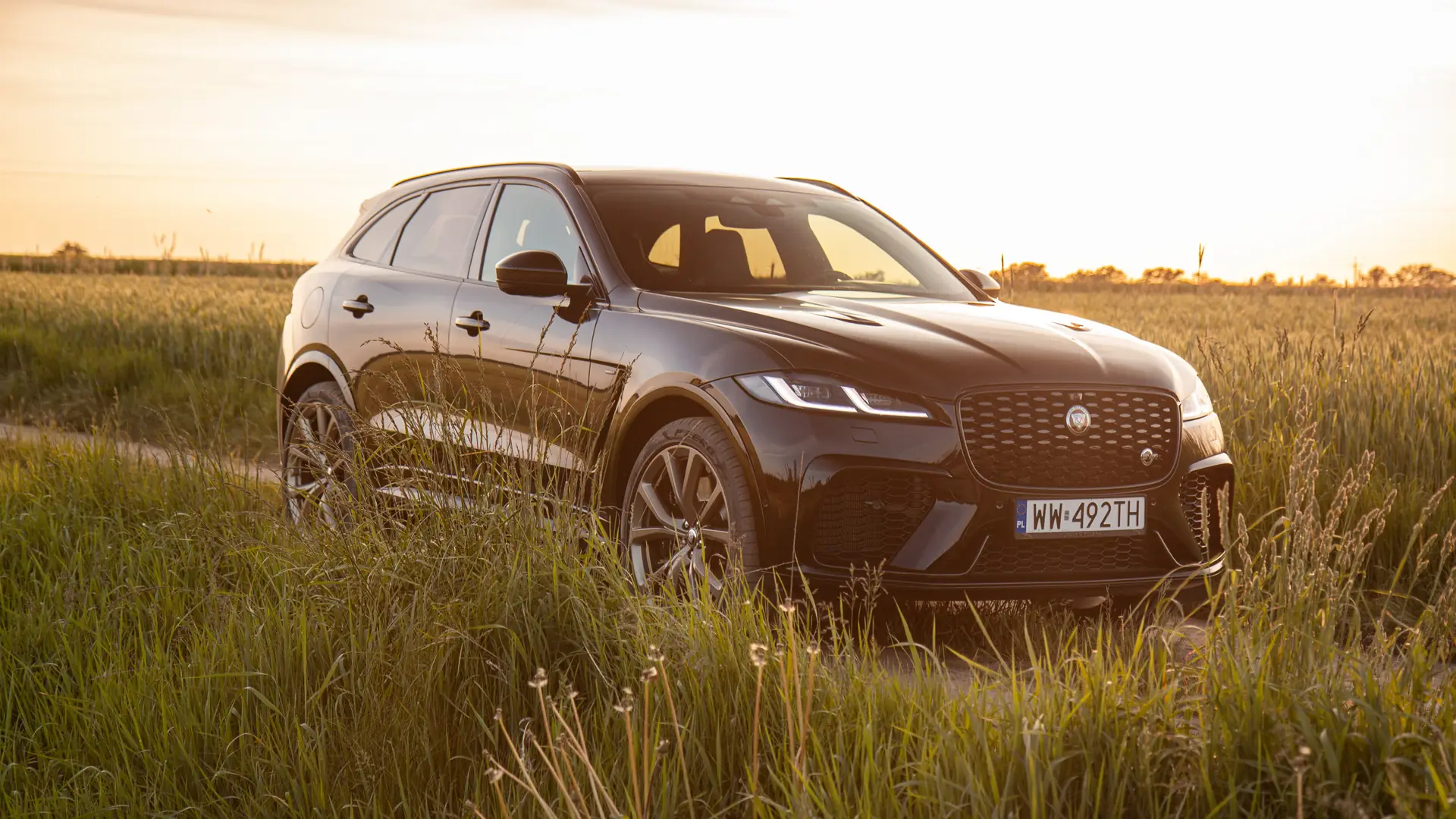 Dziki jak na Jaguara przystało. Testujemy F-Pace’a w limitowanej wersji