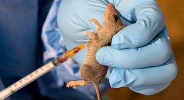 NCDC registers 1,968 Lassa fever cases in 112 LGs, 28 States
