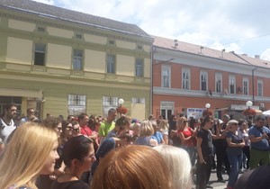 Protest, trovanje životinja, Pančevo