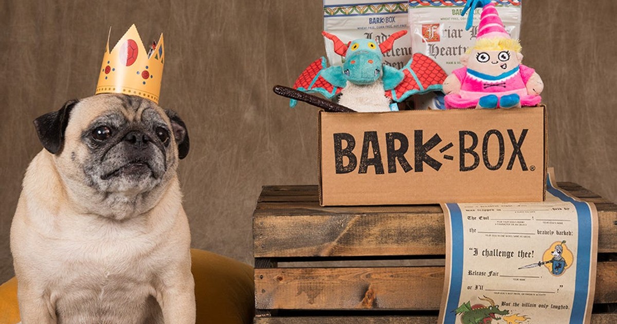 BarkBox is arguably the most popular pet subscription box I tried it and can see why dogs and their owners love it Business Insider Africa