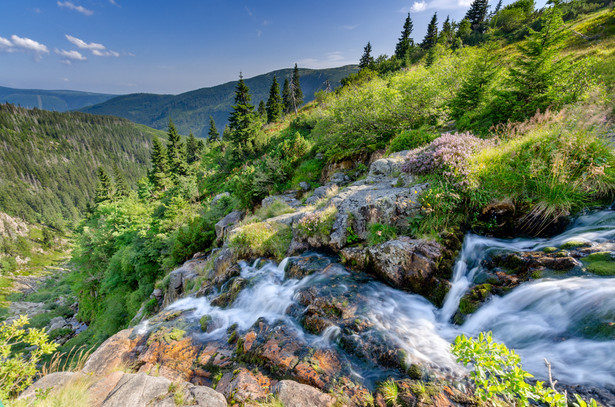 Łaba, Karkonosze, Czechy