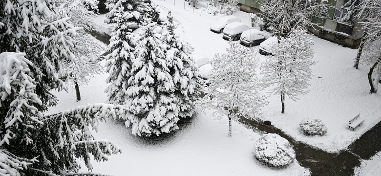 Atak zimy na Podkarpaciu. Ponad 80 tys. gospodarstw bez prądu, ostrzeżenie IMGW