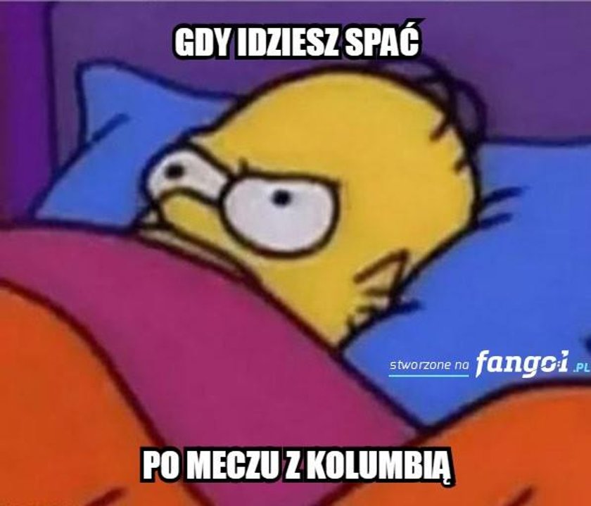 Memy po meczu Polska- Kolumbia